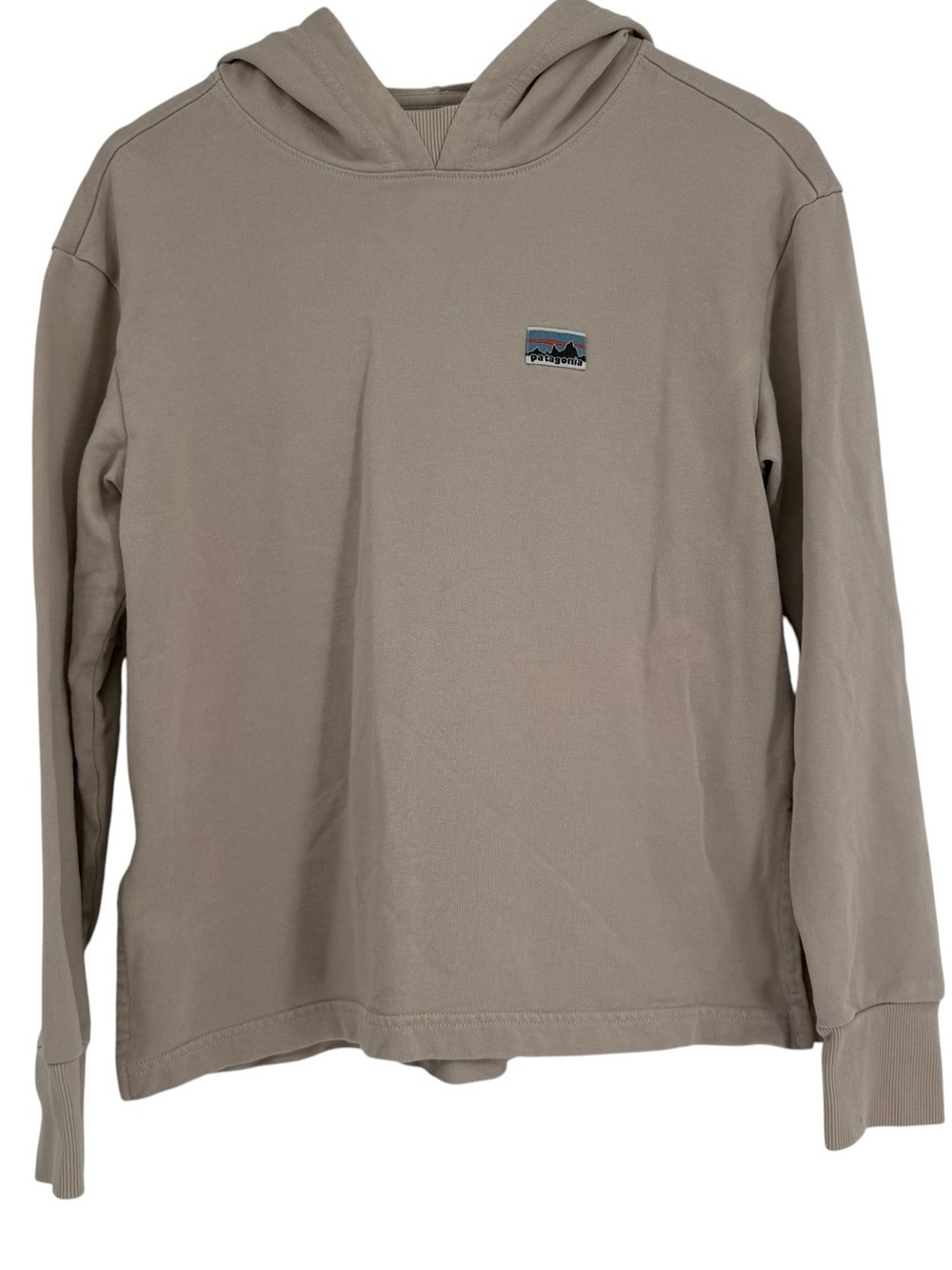 Patagonia Women's Regenerative Organic Certified™ Cotton Essential Hoody small